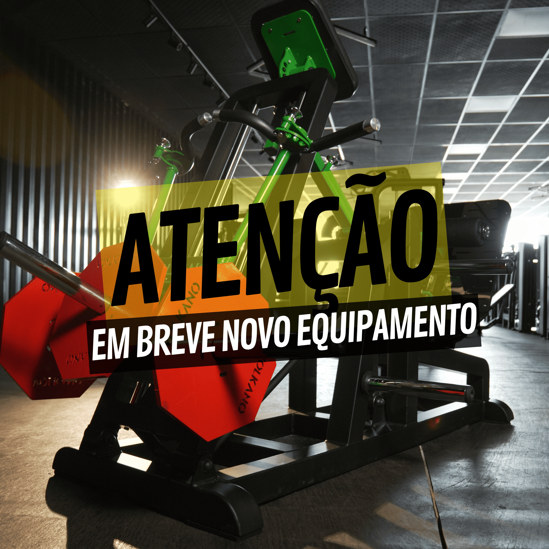Remada Cavalo Guiada Pro